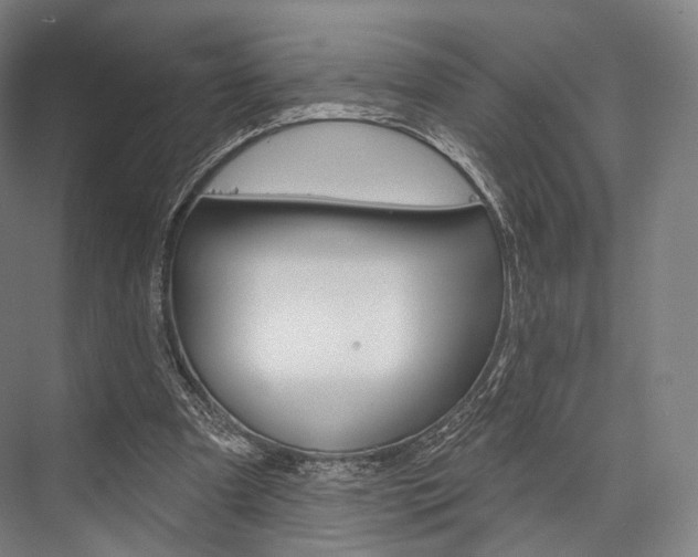 X0000076440297200610061032