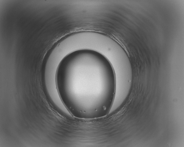 X0000076440301200610061032