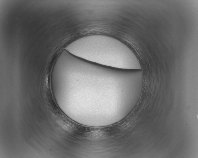 X0000076440310200610061032