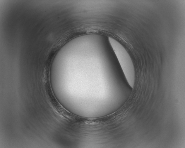 X0000076440311200610061032
