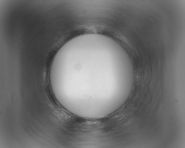 X0000076440314200610061032