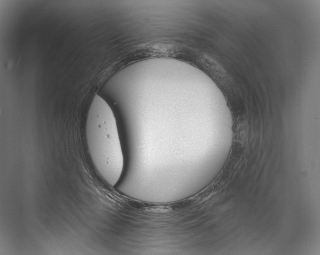 X0000076440318200610061032