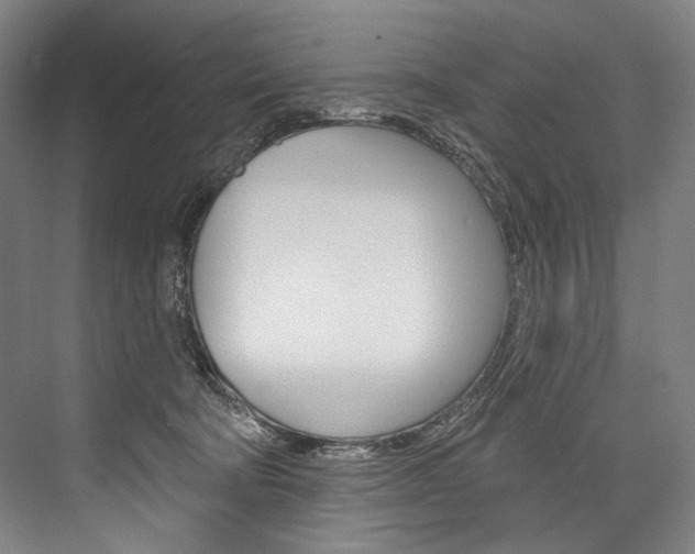 X0000076440322200610061032