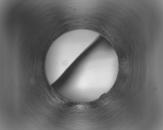 X0000076440323200610061032