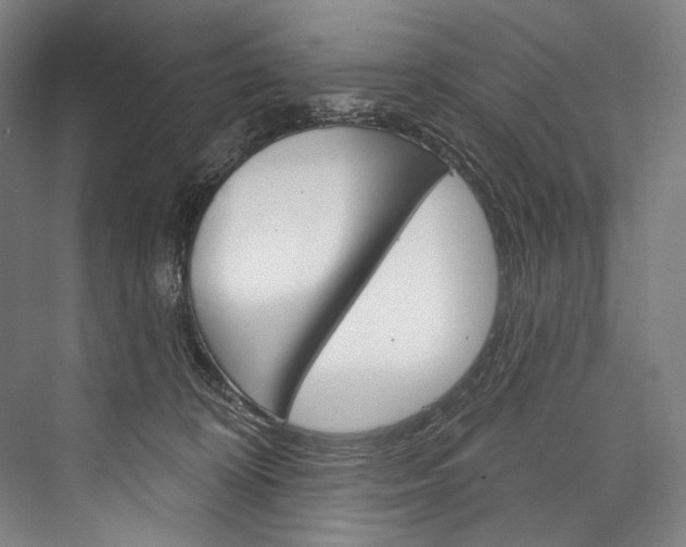 X0000076440324200610061032