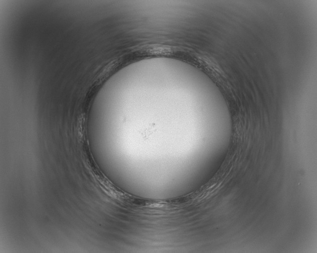 X0000076440325200610061032