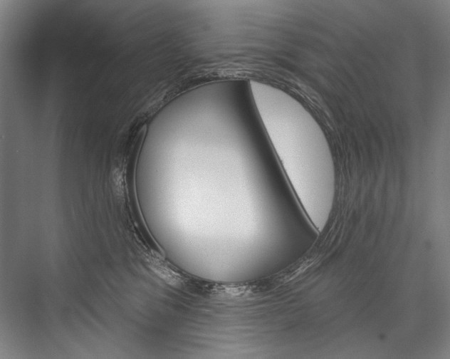 X0000076440329200610061032