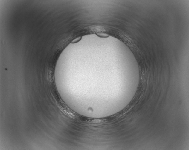X0000076440330200610061032