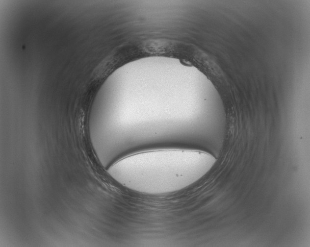 X0000076440332200610061032