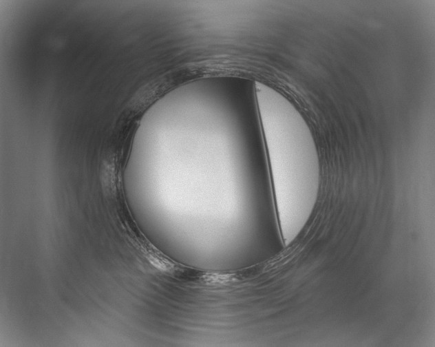 X0000076440333200610061032
