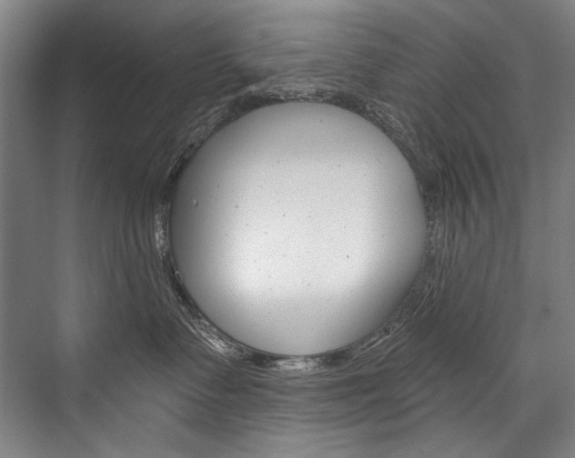 X0000076440335200610061032