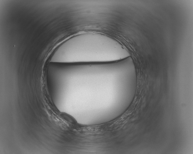 X0000076440338200610061031