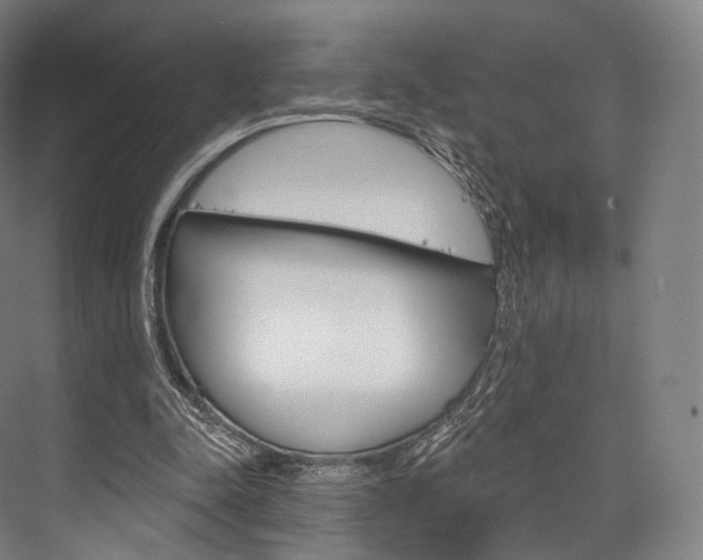 X0000076440342200610061031