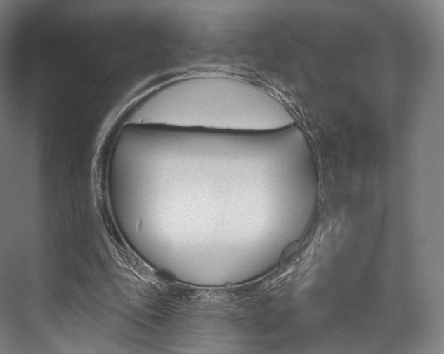 X0000076440343200610061031