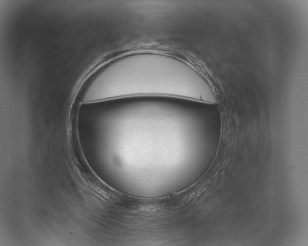 X0000076440344200610061031