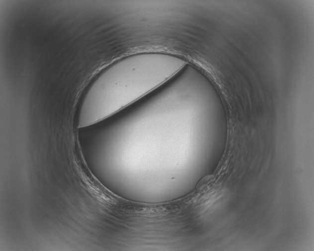 X0000076440345200610061031