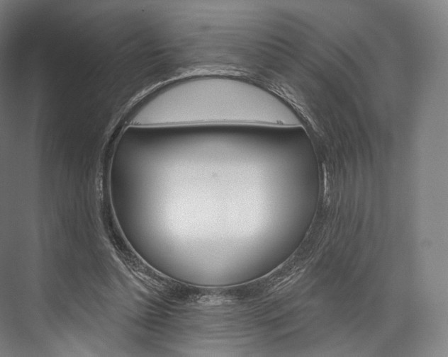 X0000076440348200610061031