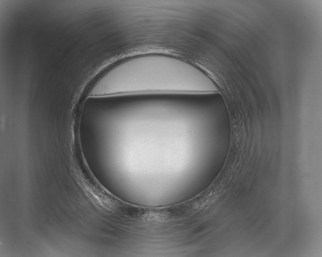 X0000076440350200610061031