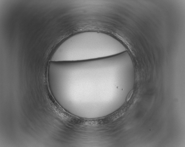 X0000076440353200610061031