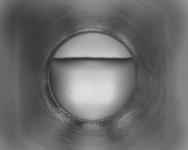 X0000076440354200610061031