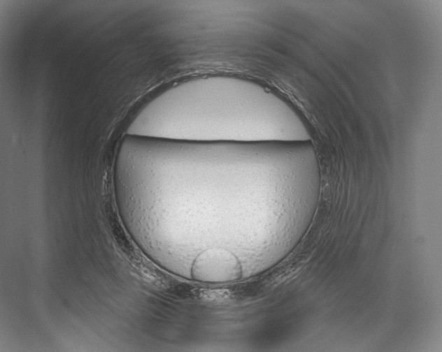 X0000076440355200610061031