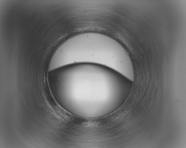 X0000076440356200610061031
