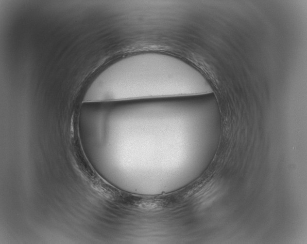X0000076440358200610061031