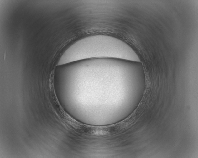 X0000076440360200610061031