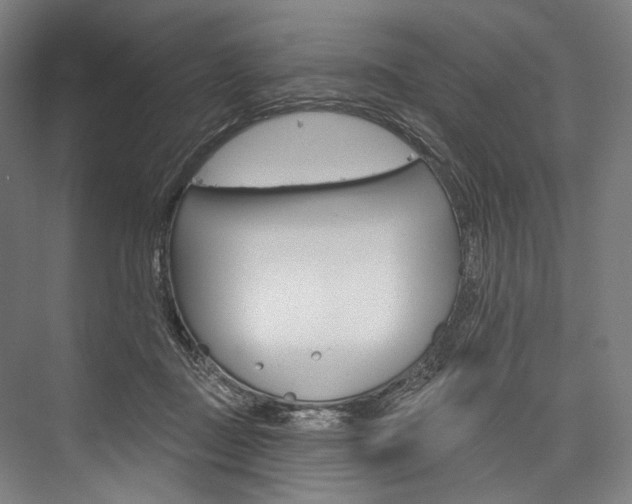 X0000076440363200610061031