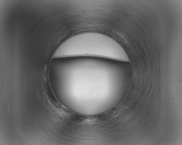 X0000076440364200610061031