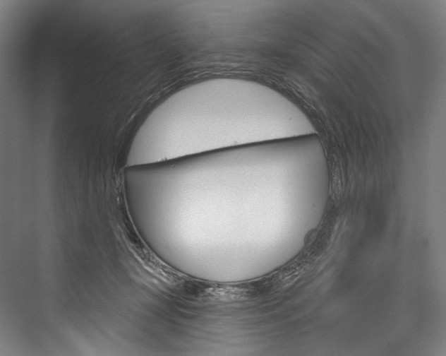 X0000076440367200610061031