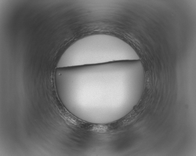 X0000076440369200610061031