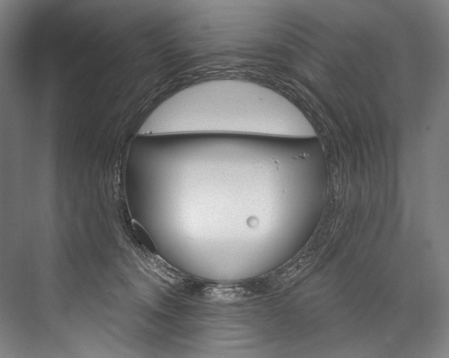 X0000076440372200610061031