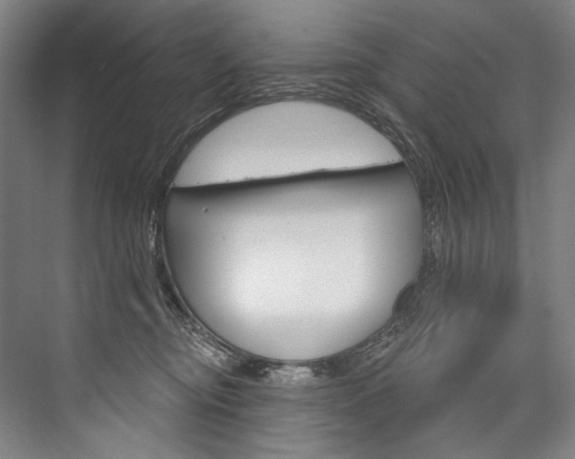 X0000076440374200610061031