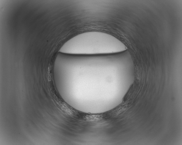 X0000076440378200610061031