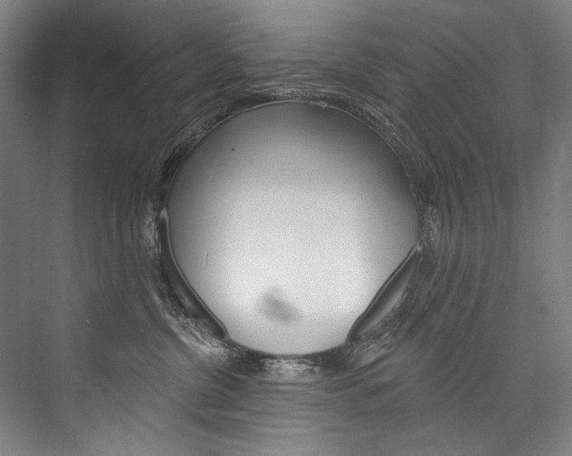 X0000076440380200610061031