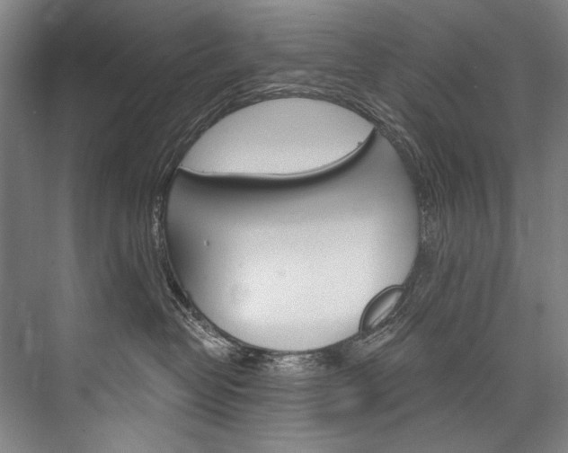 X0000076440382200610061031
