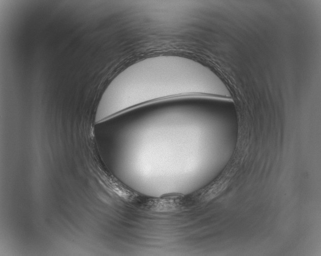 X0000076440384200610061031