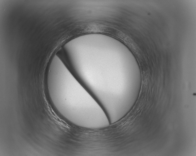 X0000076440386200610061031