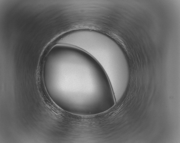 X0000076440388200610061031