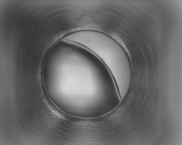 X0000076440389200610061031