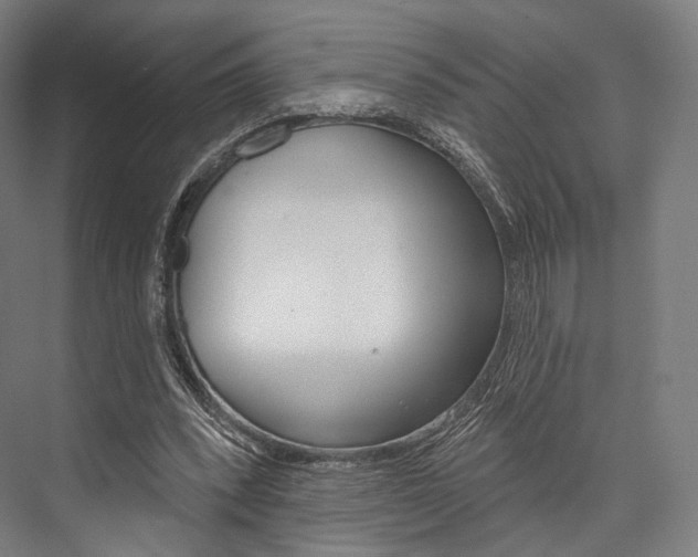 X0000076440392200610061031