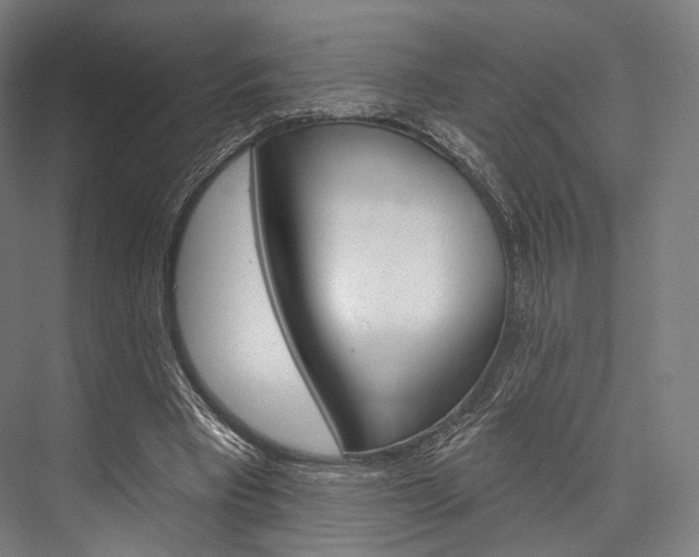X0000076440393200610061031