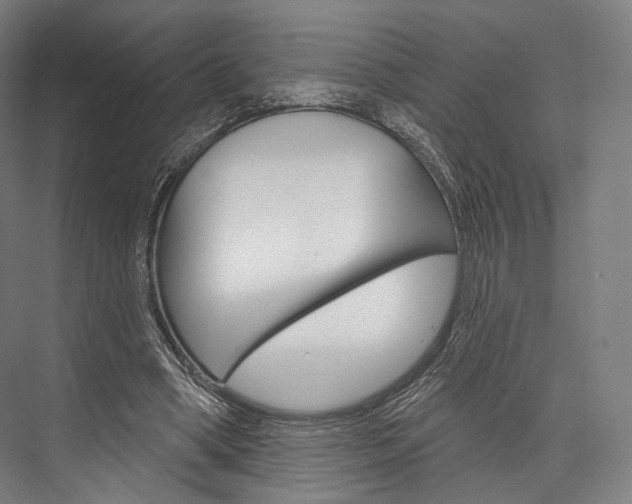 X0000076440394200610061031