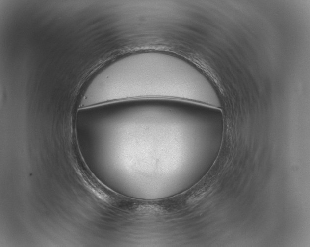 X0000076440397200610061030