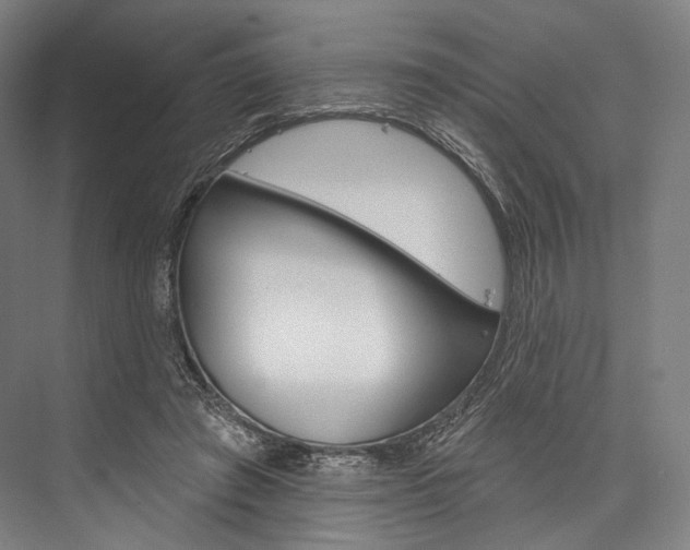 X0000076440401200610061030