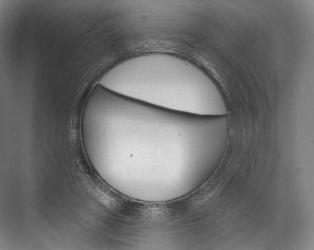 X0000076440402200610061030