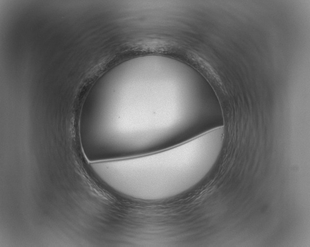 X0000076440403200610061030