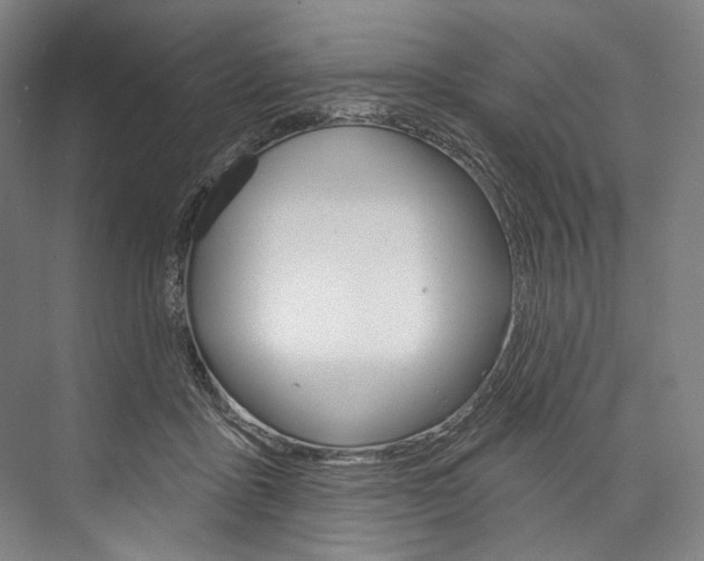 X0000076440411200610061030
