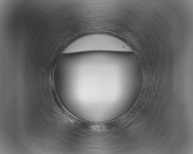 X0000076440415200610061030